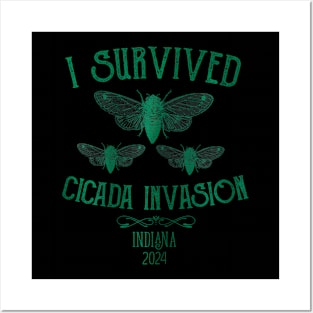 Cicada Indiana USA 2024 Insect Entomology Posters and Art